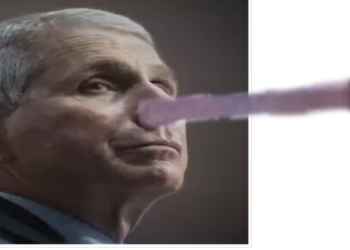 Did Dr. Faucinoccio Lie About COVID-19 Just To Hold Onto His Power?