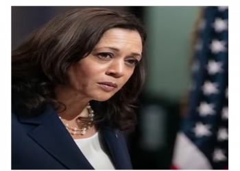 VP Kamala Harris Got Scammed Into Becoming the ‘Border Czar’ by the Biden White House