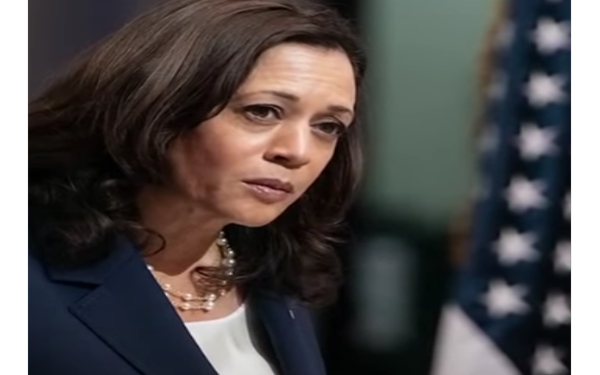 VP Kamala Harris Got Scammed Into Becoming the ‘Border Czar’ by the Biden White House
