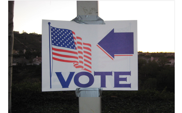 2020 Election Turnout Results Discredit Democrat Lies About Minority Voter Suppression