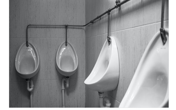 Virginia Middle School Now Removing Urinals From Bathrooms Because It May Offend ‘Boy’ Students Who Can’t Pee Standing Up