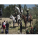 Fake News Journalists Report Horse Reins As Whips When Spreading Misinformation Story of Border Agents Whipping Haitian Illegal Migrants