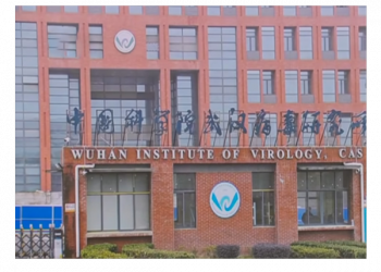 900 Pages of Newly Released Documents Reveal US Funding Research at Chinese Lab