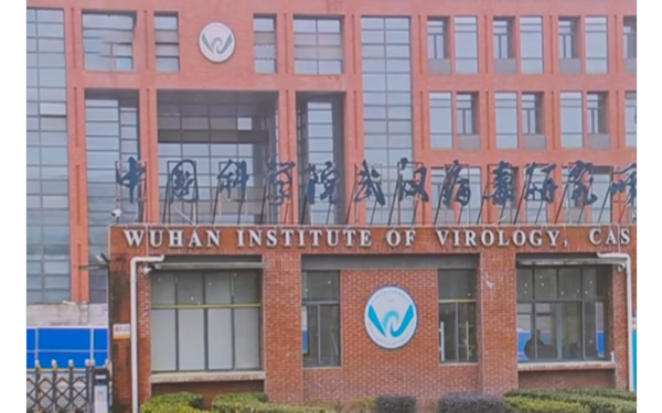 900 Pages of Newly Released Documents Reveal US Funding Research at Chinese Lab