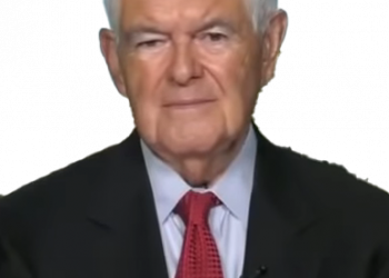 Newt Gingrich Tells Radical Leftists That Americans Are ‘Fed Up’ With Being Brow Beaten: ‘There are a lot more of us than there are of these crazed radicals