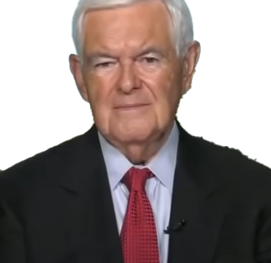 Newt Gingrich Tells Radical Leftists That Americans Are ‘Fed Up’ With Being Brow Beaten: ‘There are a lot more of us than there are of these crazed radicals