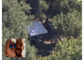 Brian Laundrie’s Possessions Found Near Site Where Human Remains Discovered In Florida Nature Park