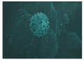 COVID NEWS: Scientists Identify New Antibody That Can Stop COVID Infection Before It Starts And Undo All Variants