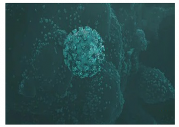 COVID NEWS: Scientists Identify New Antibody That Can Stop COVID Infection Before It Starts And Undo All Variants