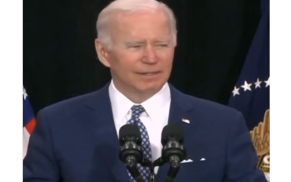 What Is the Racist ‘Replacement Theory’ and Why Are the Democrats Lying About It Now? [VIDEO]