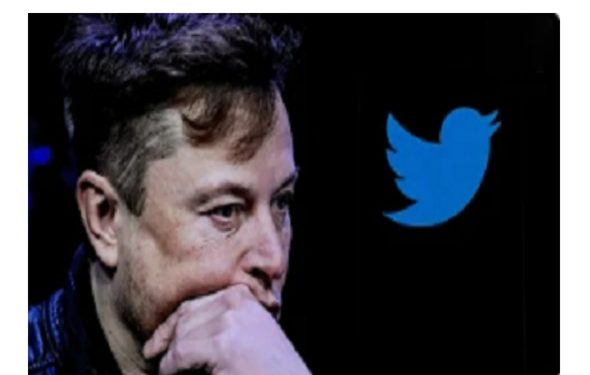 Elon Musk Announces That Twitter Has Interfered in Elections