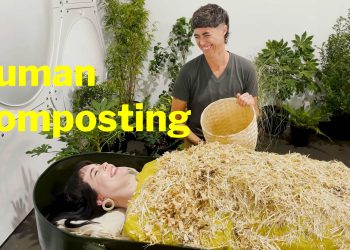 Ashes to Ashes Dust to Compost: New York Now Allows Your Body to Be Composted