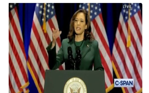 Kamala Harris Uses The Constitution To Promote Abortion, But She Leaves Out A Key Right