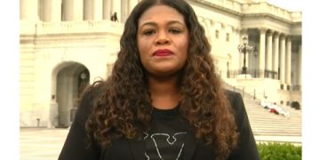 Ignorant Democrat Labeled Guns as ‘Toys’ While Arguing Against the Second Amendment Right To Keep and Bear Arms