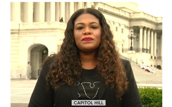 Ignorant Democrat Labeled Guns as ‘Toys’ While Arguing Against the Second Amendment Right To Keep and Bear Arms