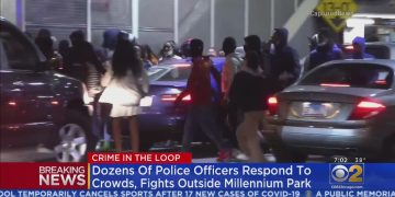 Mass Riot in Chicago: Home of the 2024 Democratic National Convention