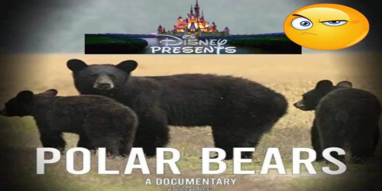 Disney Mocked Over Little Mermaid Live-Action Remake Full of Wokeness