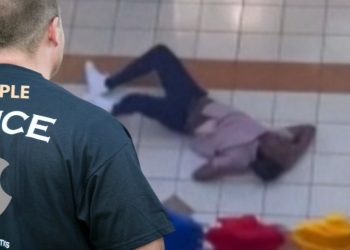 Alleged Shoplifter At Willow Grove Mall Jumps the Railing Of the Second Floor To Flee and Lands Like a Sack of Potatoes [VIDEO]