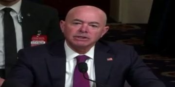 House Homeland Security Committee Chair: I Have Evidence of Possible Fraud By Alejandro Mayorkas