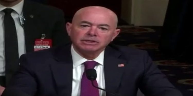 House Homeland Security Committee Chair: I Have Evidence of Possible Fraud By Alejandro Mayorkas