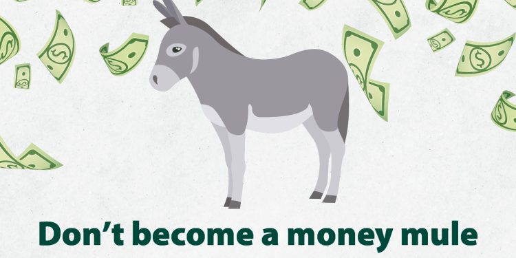 Huge Democratic Money Laundering Scheme Discovered in Indiana