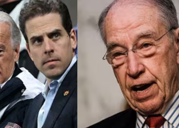 Chuck Grassley Said a Burisma Executive Kept 17 Audio Recordings of Hunter and Joe Related To Bribery