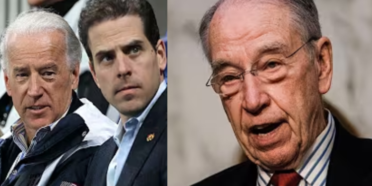 Chuck Grassley Said a Burisma Executive Kept 17 Audio Recordings of Hunter and Joe Related To Bribery