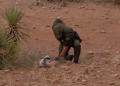 In May, the US Border Patrol Set A Record For The Number Of Terrorist Suspects Encountered