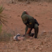 In May, the US Border Patrol Set A Record For The Number Of Terrorist Suspects Encountered
