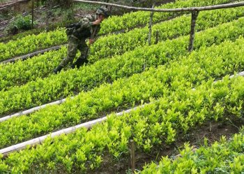 Biden Has Destroyed America’s Supply Chain, But He Has Done Wonders For Hunters: Ends Surveillance of Columbia’s Coca Crops