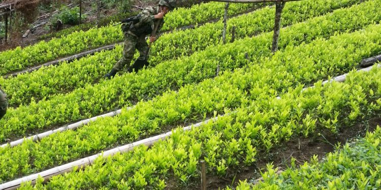 Biden Has Destroyed America’s Supply Chain, But He Has Done Wonders For Hunters: Ends Surveillance of Columbia’s Coca Crops