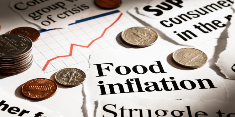 New Study Reveals You Can Blame the Rising Cost of Food on What Joe Biden Unlawfully Did to the Food Stamp Program