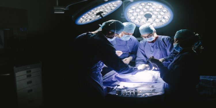 Texas Supreme Court Upholds Law Banning Transgender Care for Minors, Joining More Than 20 Other States