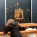Soup Nazis Attack Mona Lisa: Activists Make a Splash at Louvre Museum [VIDEO]