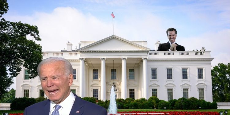 JPMorgan Strategist Predicts Joe Biden Will Drop Out of Presidential Race Between Super Tuesday and the November Election