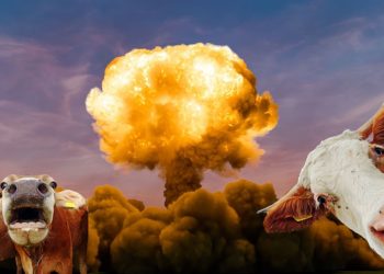 Insane NY Attorney General Letitia James Takes On Beef Giant JBS USA Over Cow Farts