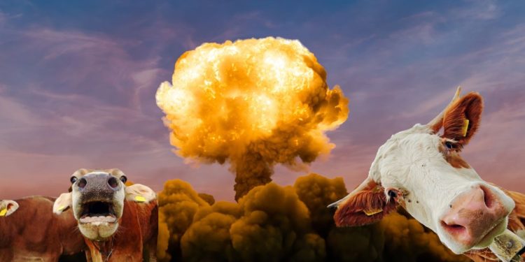 Insane NY Attorney General Letitia James Takes On Beef Giant JBS USA Over Cow Farts