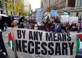 Groups Behind Protests Seizing College Campuses Get Bad News as Senators Send Letter to IRS