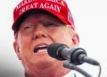 DHS Documents Reveal Trump Supporters Labeled as Domestic Terrorism Threats