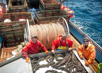 Supreme Court Delivers Crippling Blow To Permanent Bureaucracy’s Power Over Americans’ Lives