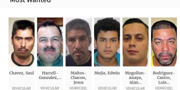 Biden Flying Illegal Aliens, Deported Under Trump, Back to U.S.