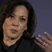 Kamala Harris Faces Backlash Over Rally ID Requirement When She Claims Voter ID Is Racist