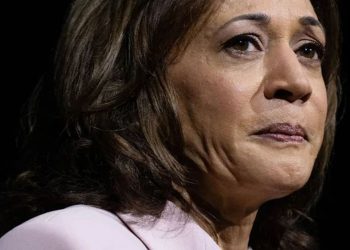 Kamala Harris’ Campaign Website Lacks Policy Details Weeks After Launch
