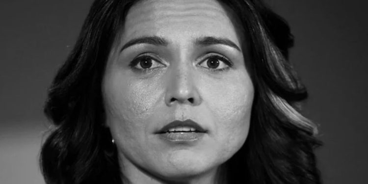 Why Is Tulsi Gabbard on a Terror Watch List? An Inside Look