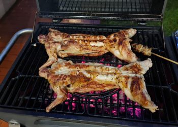 Democrats and Their Loyal Minions in the Press Insists Haitians Do Not Eat Pets: Watch This Video of Dead Cats on a BBQ Grill