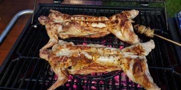 Democrats and Their Loyal Minions in the Press Insists Haitians Do Not Eat Pets: Watch This Video of Dead Cats on a BBQ Grill