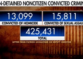 ICE Report Reveals Over 13,000 Murderers, 15,000 Rapists, and 425,000 Convicted Criminals Allowed Into America by Biden-Harris Open Border