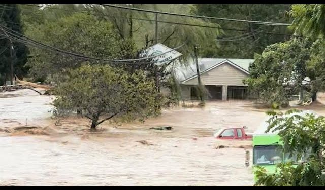 Proud Southerner Tells Kamala to Take Her $750 and ‘Wipe Your A$$ With It!’