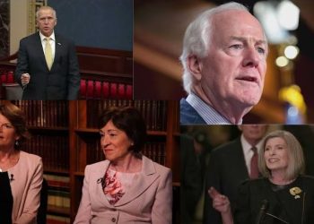 The GOP’s RINO Senate Problem: Time to Clean House in 2026
