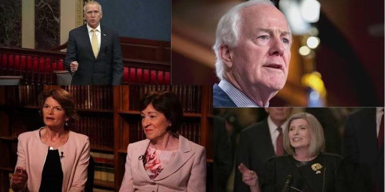 The GOP’s RINO Senate Problem: Time to Clean House in 2026